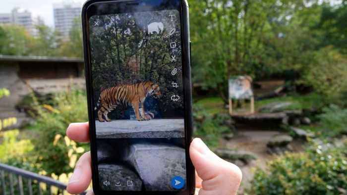 Kölner Zoo zeigt Tiere mit Augmented Reality