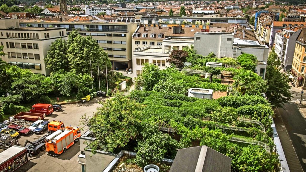 Dachterrassen in Stuttgart: Feuerwehrleute im Garten Eden