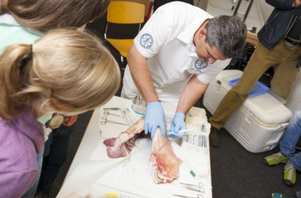 Johannes Schad trainiert mit Studenten an tierischen Überresten vom Schlachthof, wie man Thoraxdränagen legt, um die Lungenfunktion zu erhalten.