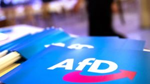 Medienberichterstattung: BR: AfD in Bayern behindert „massiv die journalistische Arbeit“