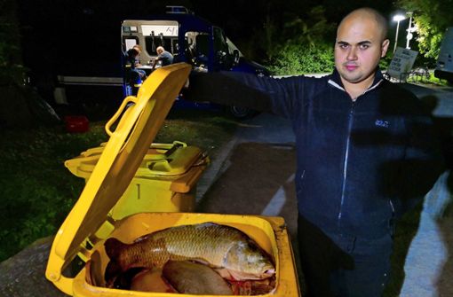 Miro Ribolovac vom Anglerverein und eine Tonne voll verendeter Fische Foto: Fotoagentur Stuttg/Andreas Rosar