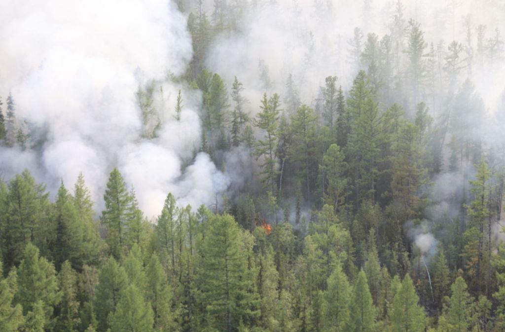 Durch den heißen und trockenen Sommer ist es in der sibirischen Taiga zu riesigen Waldbränden gekommen. Die größten Brände, die vermutlich durch Blitze ausgelöst wurden, befanden sich in den Regionen Irkutsk, Krasnojarsk und Burjatien.