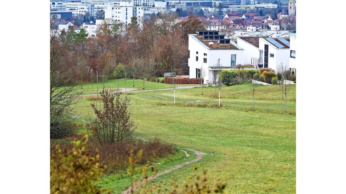 Leonberg bekommt neue Aussichtspunkte: Von der Autobahn zum grünen Band