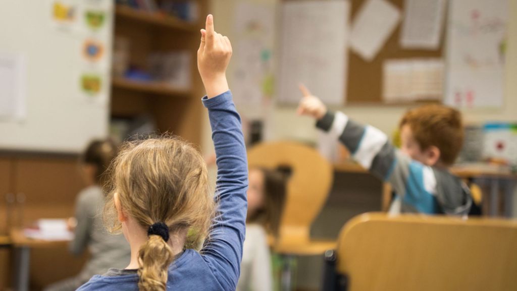 Landtag gegen Denunziantentum: AfD soll umstrittenes Schulportal abschalten
