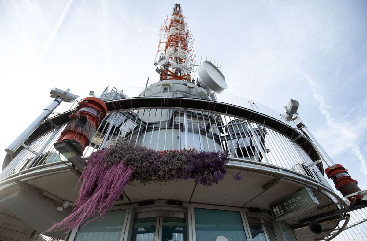 Noch bis einschließlich Sonntag, 19. März, sind auf der Plattform in 150 Metern Höhe florale Kunstwerke zu sehen.