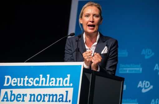 Weidel forderte den Rücktritt von Bundesaußenminister Heiko Maas (SPD). Foto: dpa/Christoph Schmidt