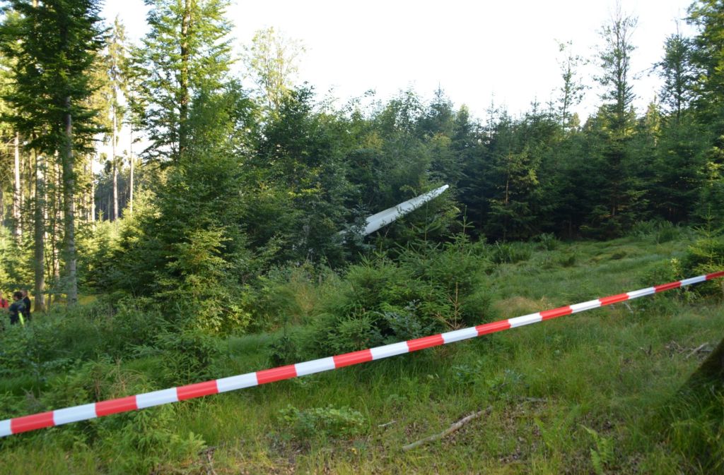 ... geriet das Flugzeug in den Sturzflug und schlug in einem Waldgebiet in der Nähe des Flugplatzes auf.