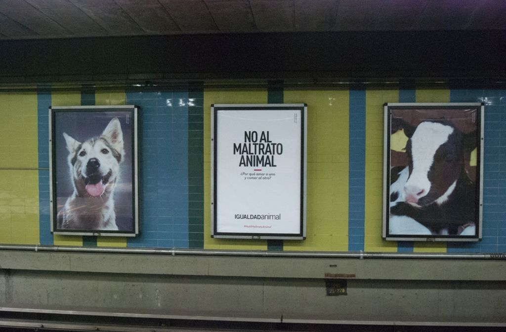 In der venezolanischen Hauptstadt Caracas hat die Tierrechtsorganisation Animal Equality ebenfalls eine Poster-Kampagne in der U-Bahn gestartet. Sechs Monate lang stellt sie aus, welchen Leiden Tiere in Mast-, Zucht- und Schlachtbetrieben ausgesetzt sind. ACHTUNG: Die folgenden Bilder sind nichts für schwache Nerven.