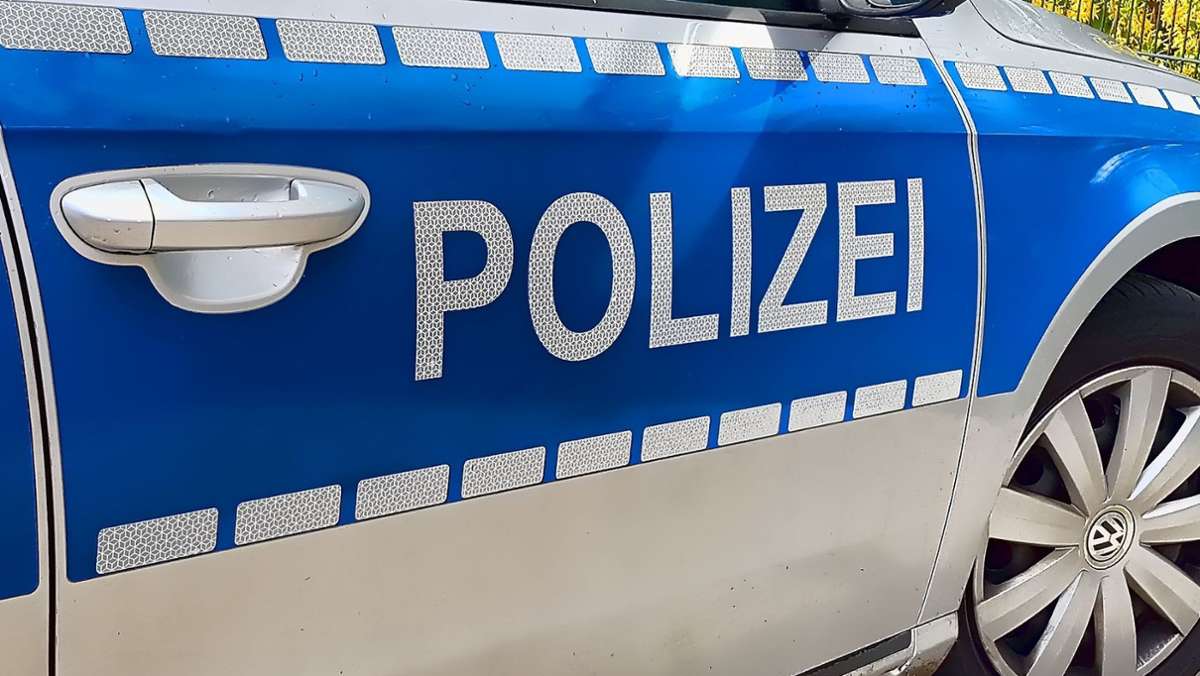 Vorfall in Ditzingen: Mann tritt nach Hund und beleidigt Besitzerin