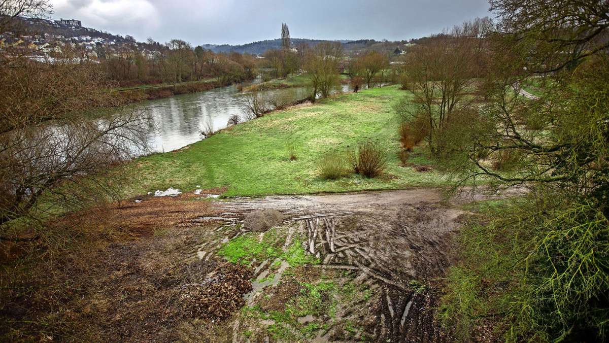 Radschnellweg Neckartal: Naturschutzverbände plädieren für die „Südtrasse“