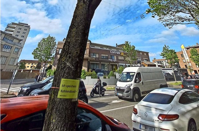 Radschnellweg  in Fellbach: Bäume sollen nicht für Radler weichen