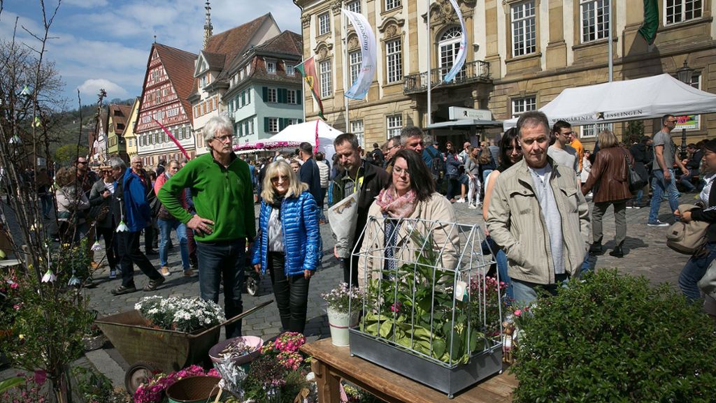 Events in Esslingen: Nachts gerockt, tagsüber   geshoppt
