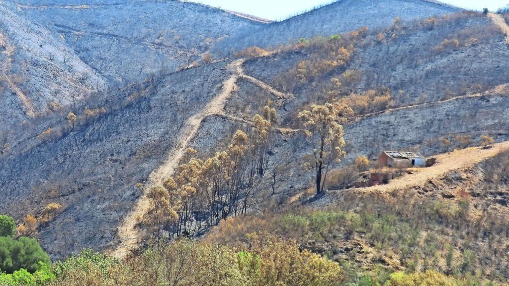 Rems-Murr-Kreis: Die Waldbrände in Portugal haben Folgen bis nach Winnenden