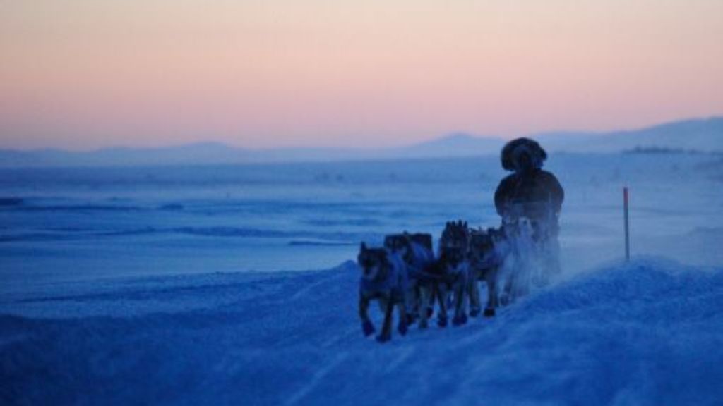 Hund und Mensch am Limit: Iditarod - das härteste Rennen der Welt