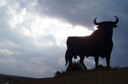 In Kroatien ist ein Stier kurz vor seiner Schlachtung entkommen. (Symbolbild) Foto: dpa/C3615 Patrick Lux