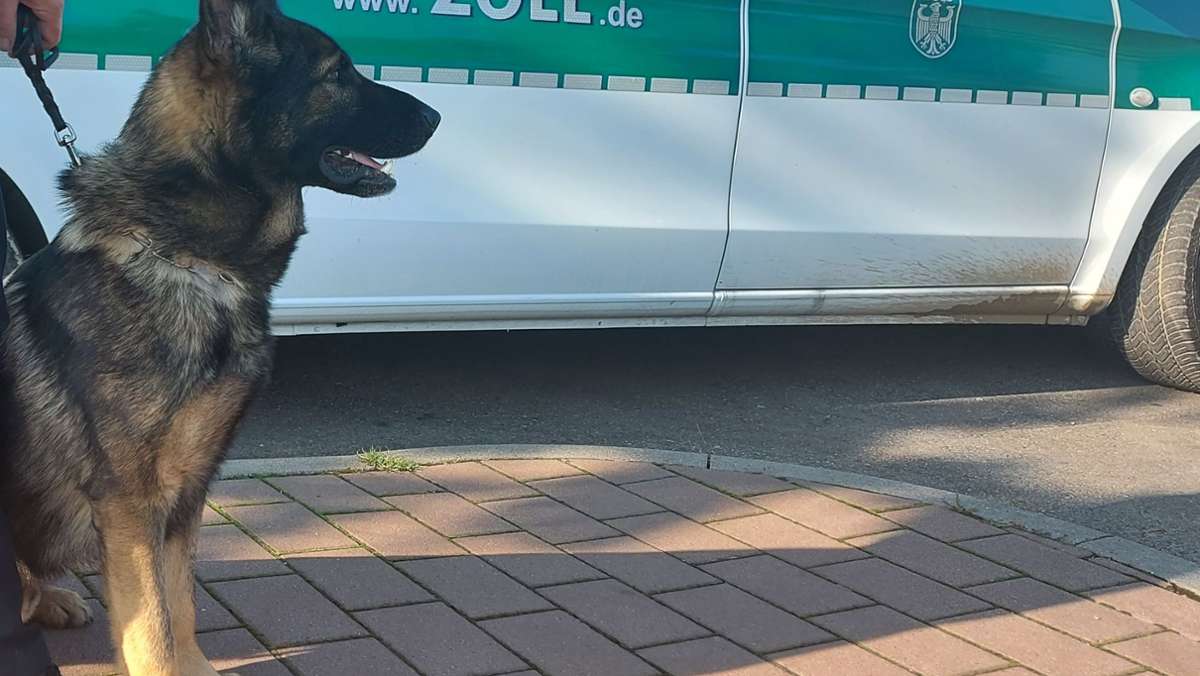 Zollkontrolle am Rasthof Sindelfinger Wald: Drogenspürhund Pius erschnüffelt 150 Gramm Kokain im Gebüsch