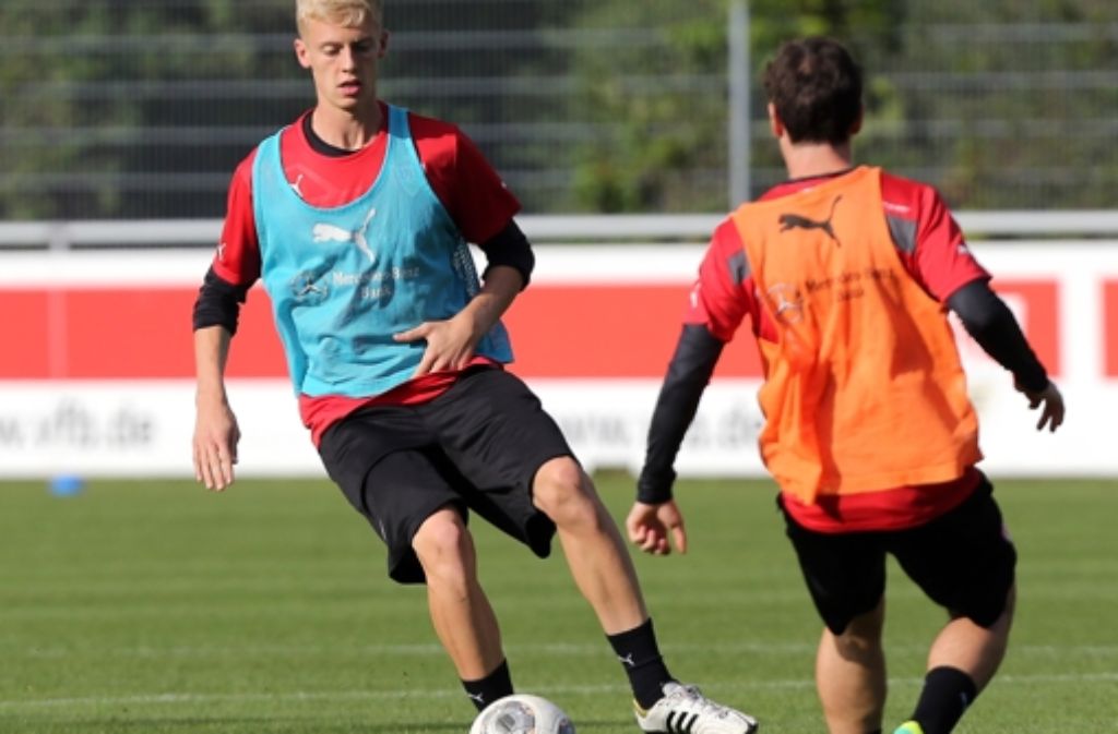 Nebenbei spielt Baumgartl auch für die U-19-Nationalmannschaft, wo er am 5. September 2014 seinen ersten Einsatz gegen die Niederlande hatte. Zuvor spielte der Böblinger für das deutsche U-15- und U-18-Team.