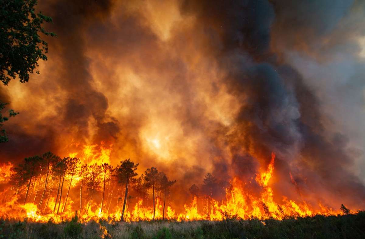 Auch im Südwesten Frankreichs wüten Waldbrände. Foto: dpa/Uncredited