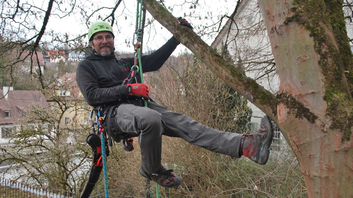 Traumjob Baumkletterer: So klettern Baumpfleger in Stuttgarts höchste Baumkronen