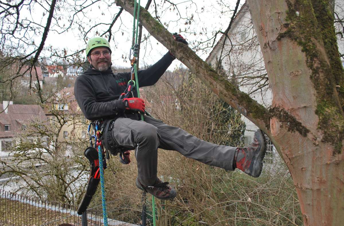 Am Seil den Stamm entlang: Bernhard Fischer klettert so, dass er den Baum nicht verletzt.
