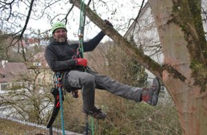 So klettern Baumpfleger in Stuttgarts höchste Baumkronen
