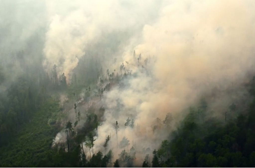 Noch immer breitet sich das Feuer in den abgelegenen Gebieten der Taiga aus. Der Waldgürtel ist nicht nur Russlands grüne Lunge, sondern ist auch für das Weltklima extrem wichtig.