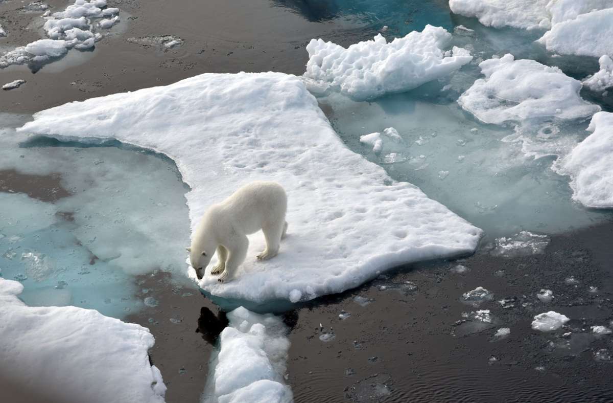 Ein Eisbär steht im Nordpolarmeer auf eine Eisscholle. Das Meereis in der Arktis ist auf die zweitniedrigste Ausdehnung seit Beginn der Messungen vor rund 40 Jahren geschrumpft. Foto: Ulf Mauder/dpa