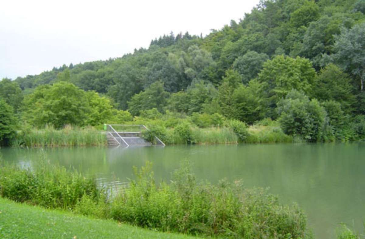 Der Mühlbacher See bei Eppingen besitzt Liegeflächen, Sitztreppe und ein sandiges Ufer.