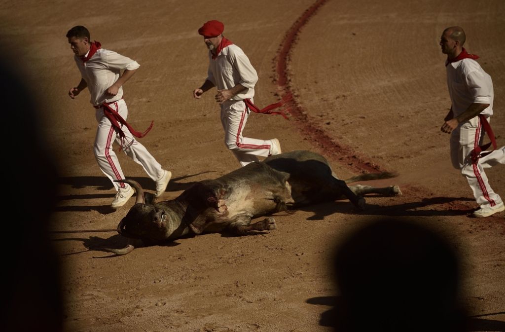 Die Stiere werden nach der Hatz durch Pamplona in der Arena getötet