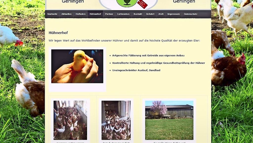  Schreckliche Bilder von toten Hennen haben einen Gerlinger Landwirt 2015 in die Schlagzeilen gebracht. Nun, mehr als drei Jahre später, ist der Fall abgeschlossen. Fazit: Was der Bauer getan hat, war falsch. Ob er daraus gelernt hat? 
