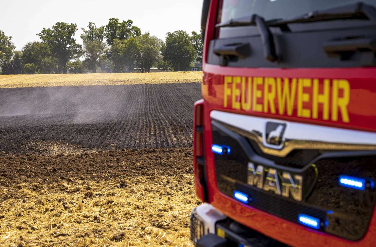 Immer wieder stehen Felder und Wiesen in Flammen. Foto: IMAGO
