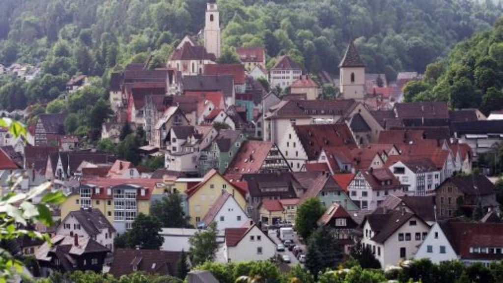 Menschen mit Q-Fieber infiziert: Dorffest in Horb am Neckar abgesagt