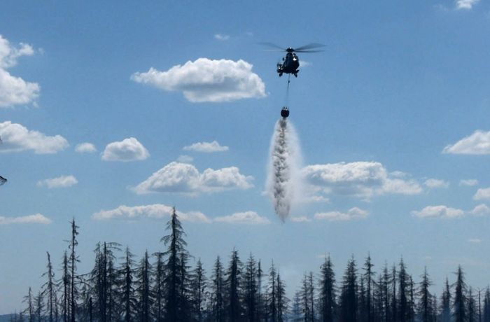 Waldbrandgefahr: Feuerwehr und Förster suchen Schulterschluss