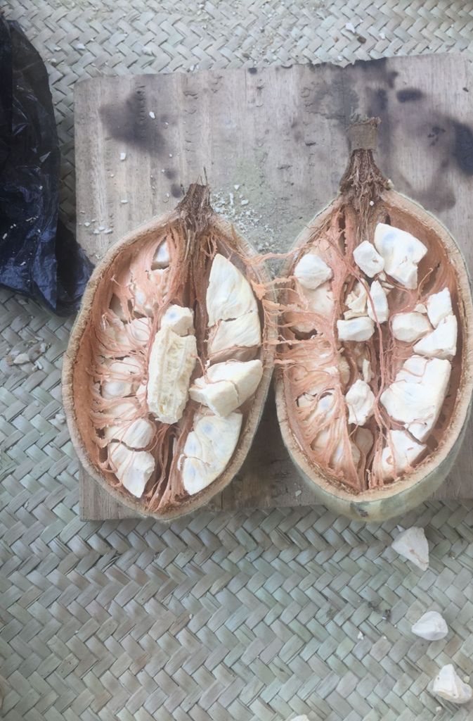 Eine aufgeschlagene Baobab-Frucht: die Schale ist hart wie bei einer Kokosnuss.