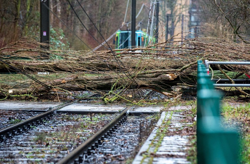 Ein umgestürzter Baum blockiert in Hannover (Niedersachsen) die Schienen der Stadtbahn
