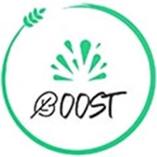 Boost_Logo