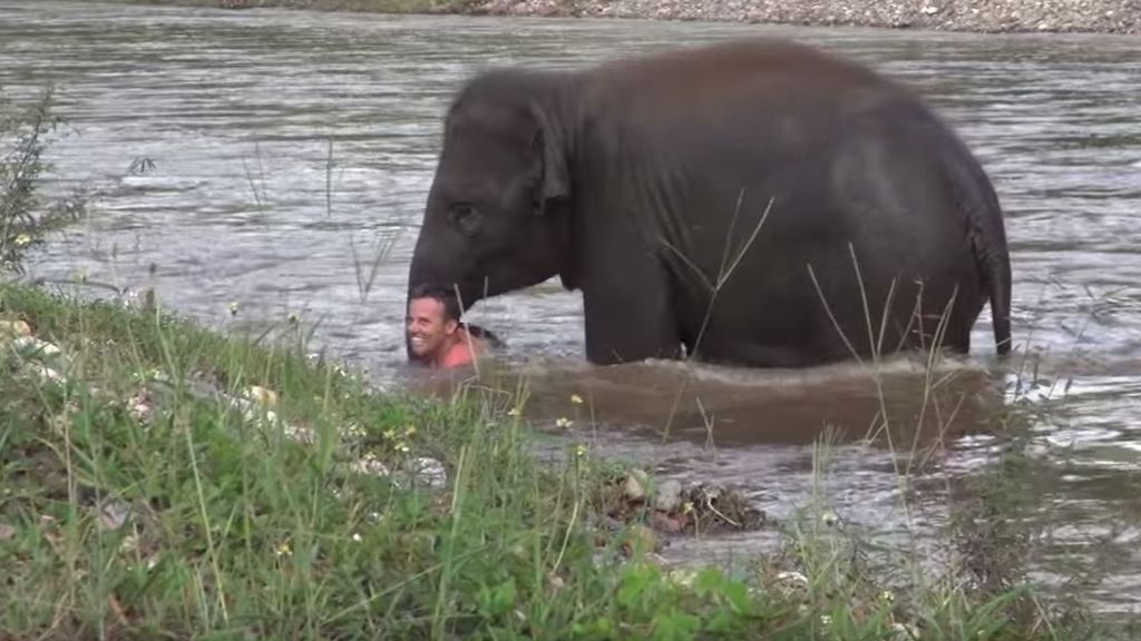 Tierisch-heldenhafte Rettung: Elefant zieht seinen Pfleger aus dem Fluss