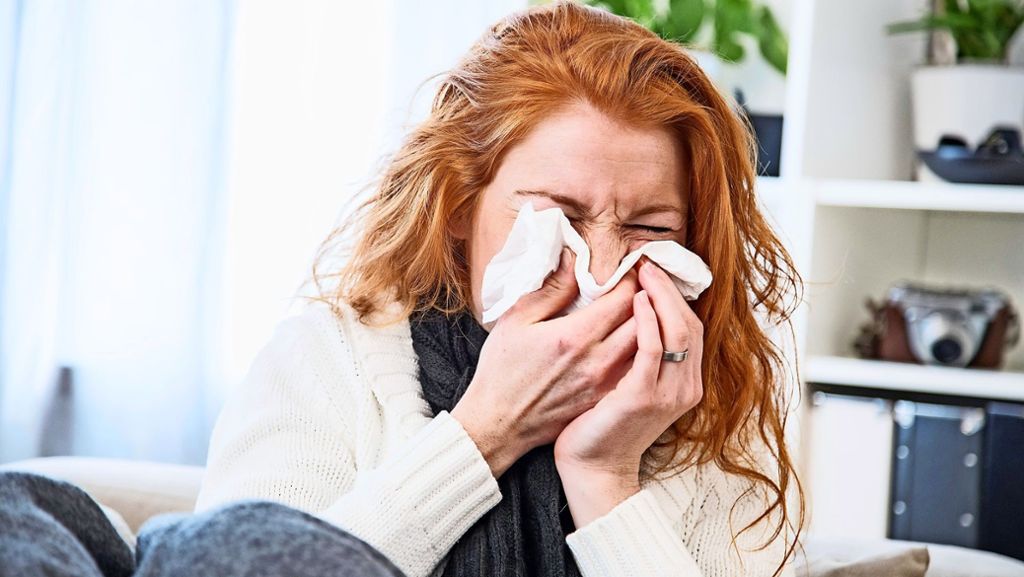 Grippe und Erkältung: Tempos unterm Weihnachtsbaum
