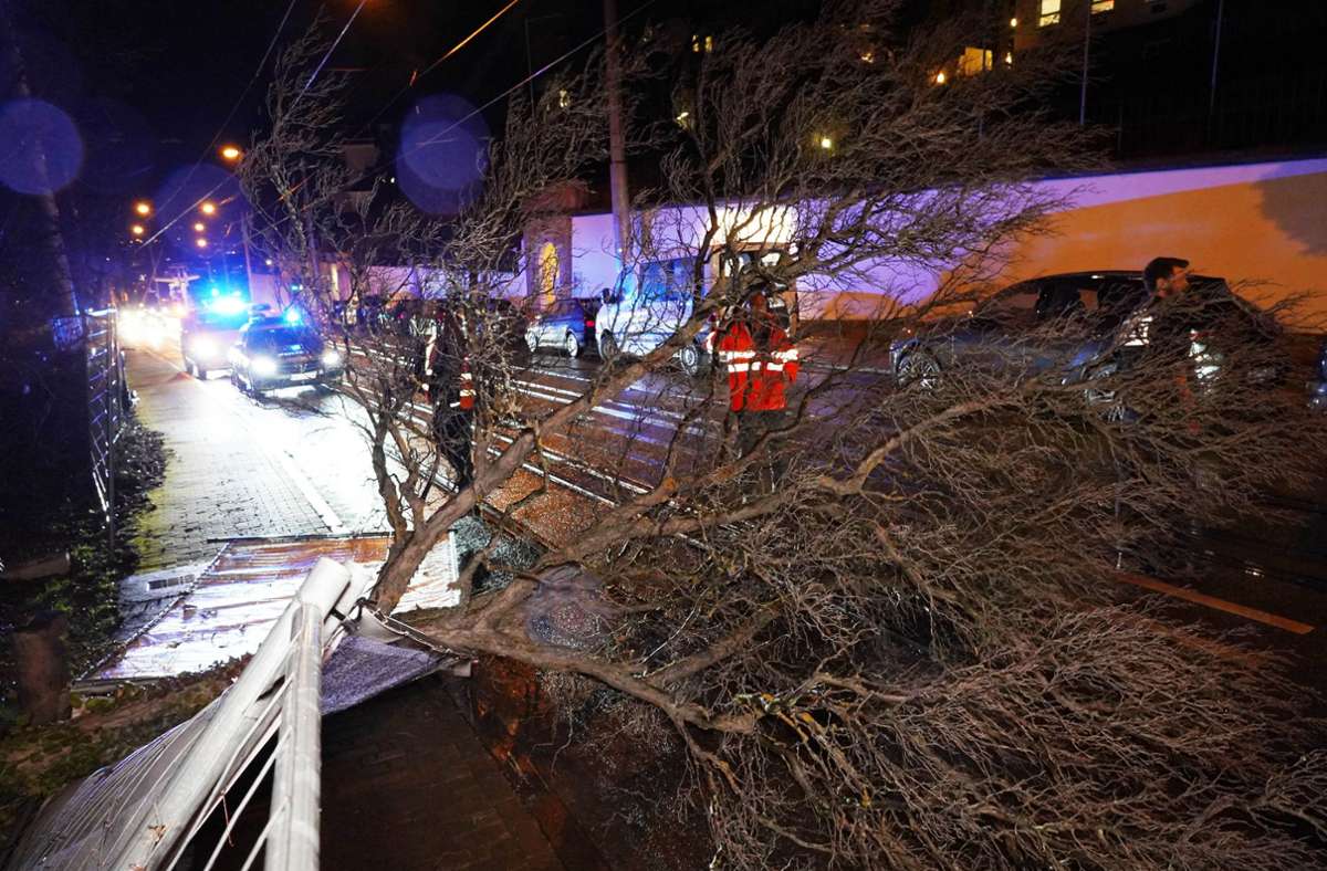 Am Bubenbad im Stuttgarter Osten kippte ein Baum auf die Straße und die Gleise.