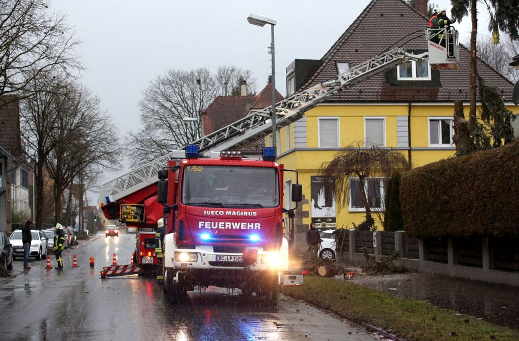 In Laupheim zersägten Mitarbeiter der Feuerwehr einen Baum, der umzustürzen drohte.