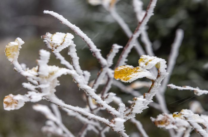 Wetter in Stuttgart und Region: Im Kessel fällt der erste Schnee