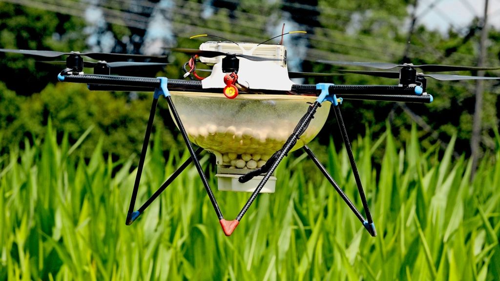 Drohnen in der Landwirtschaft: Mit Drohnen gegen den  Maiszünsler