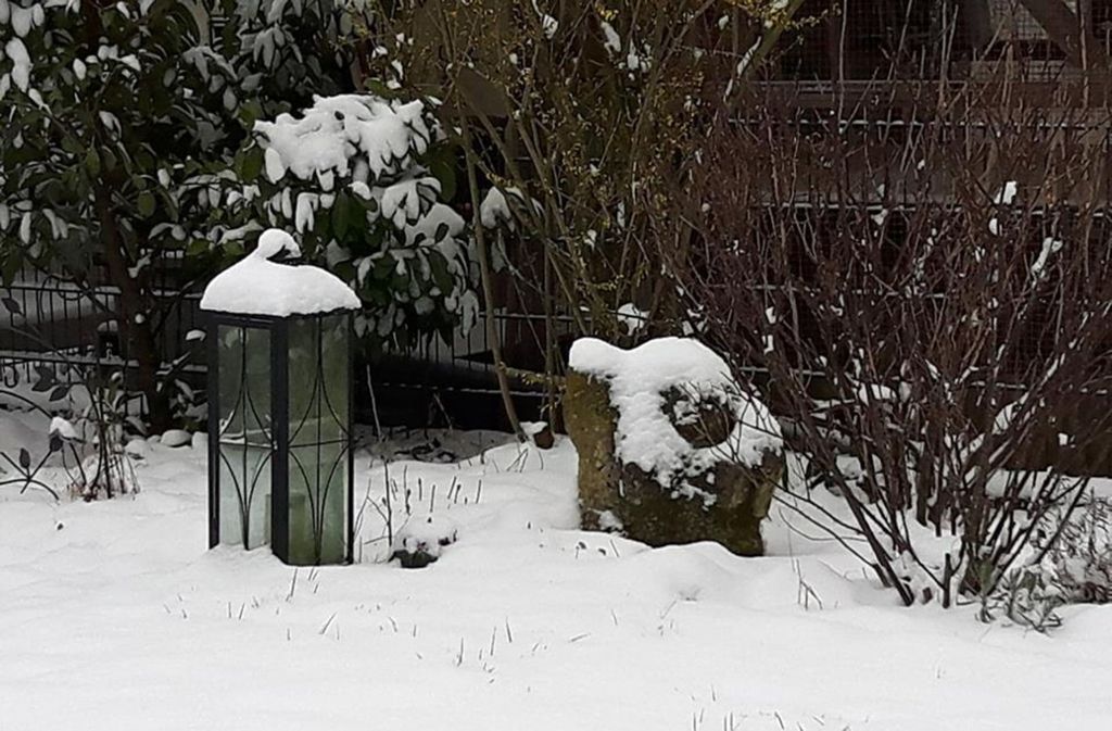 In den Gärten wird es deutlich: Es kam nochmals ordentlich Schnee herunter.