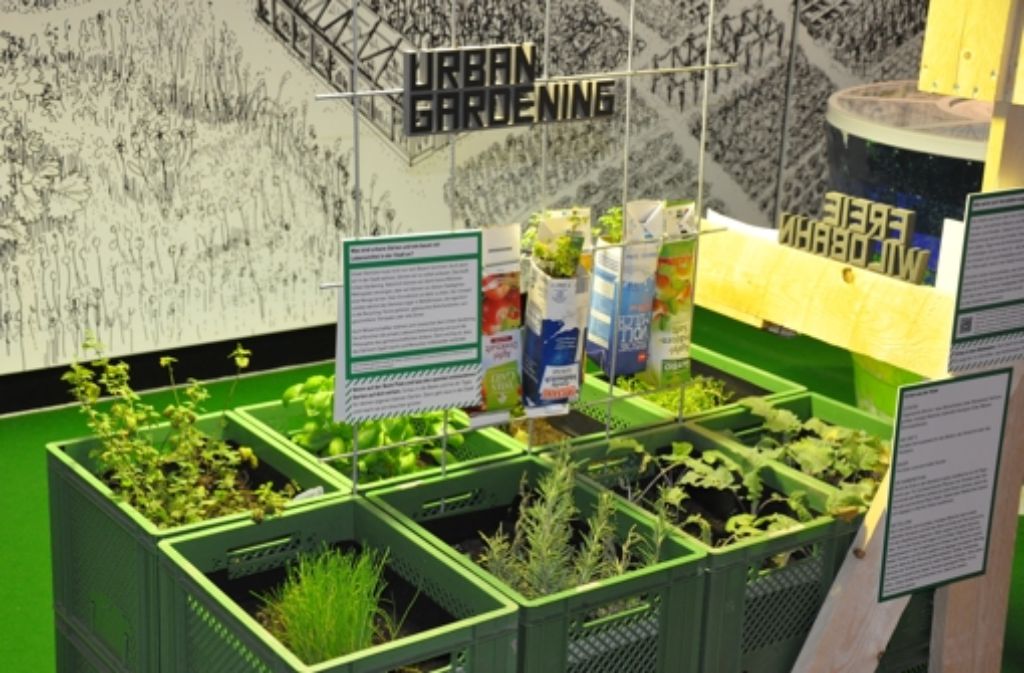 Ein weiteres Thema der Ausstellung: urban gardening, Pflanzenanbau in der Stadt