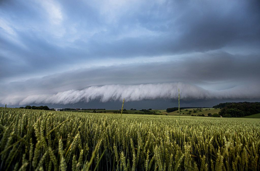 Bei dem heftigen Unwetter entstand bei Affalterbach auch das seltene Phänomen einer Shelf Cloud. Weitere Bilder vom Unwetter finden Sie in unserer Bildergalerie.