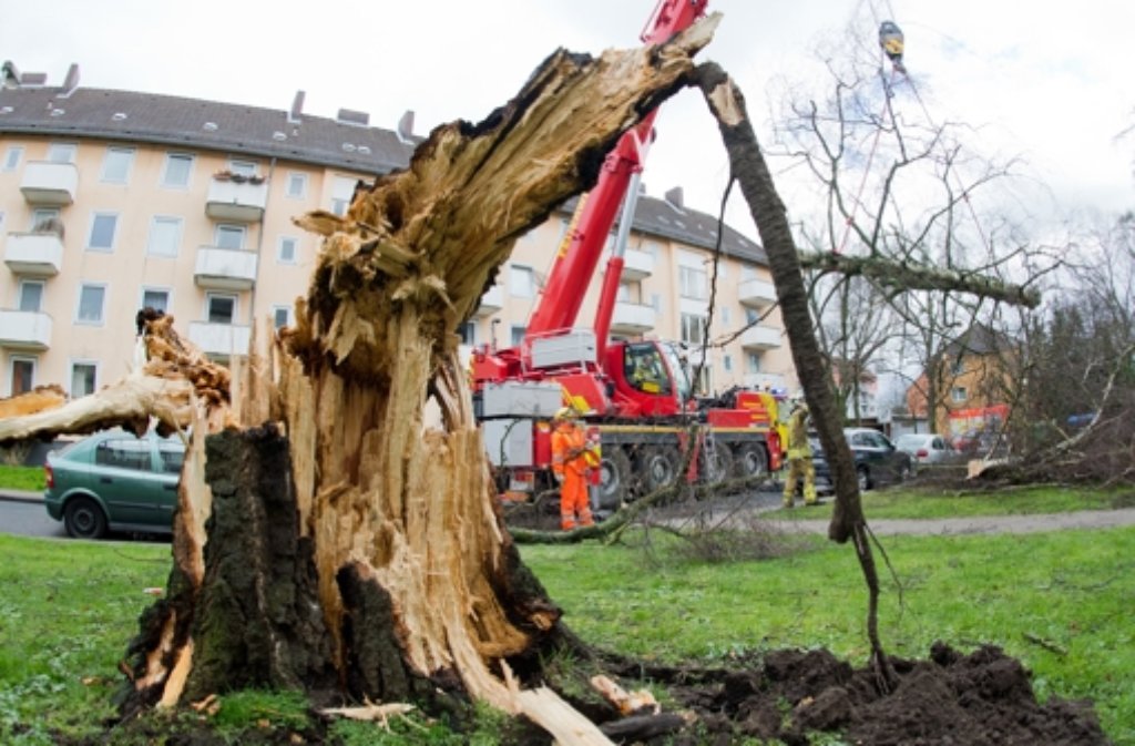Feuerwehrkräfte entfernen mit einem großen Kran umgestürzte Bäume von einer Straße in Hannover (Niedersachsen).