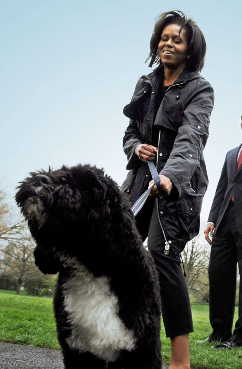 Doch Bo eroberte auch die anderen Herzen in seiner Familie im Sturm: Michelle Obama....