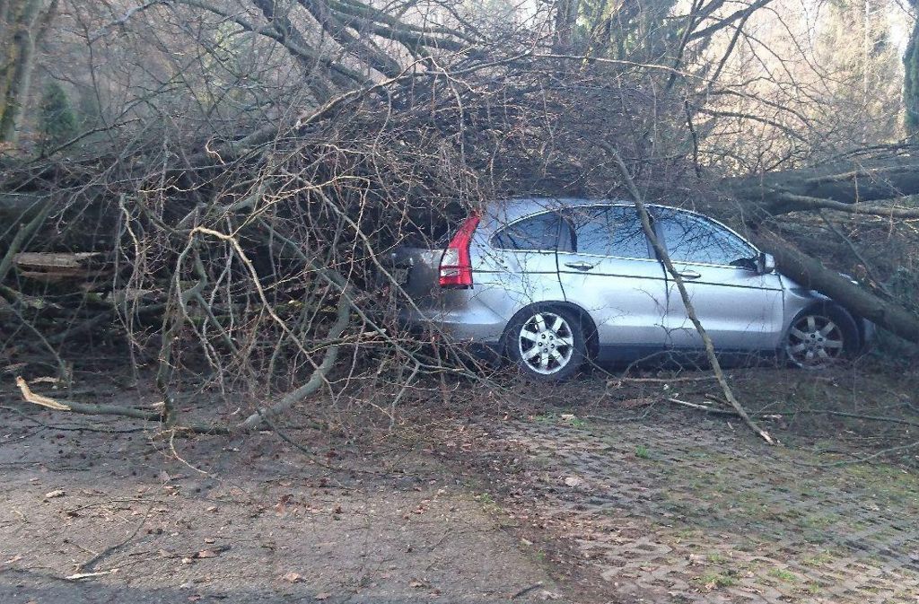 Zwei Autos sind am Samstag von umstürzenden Bäumen getroffen worden.