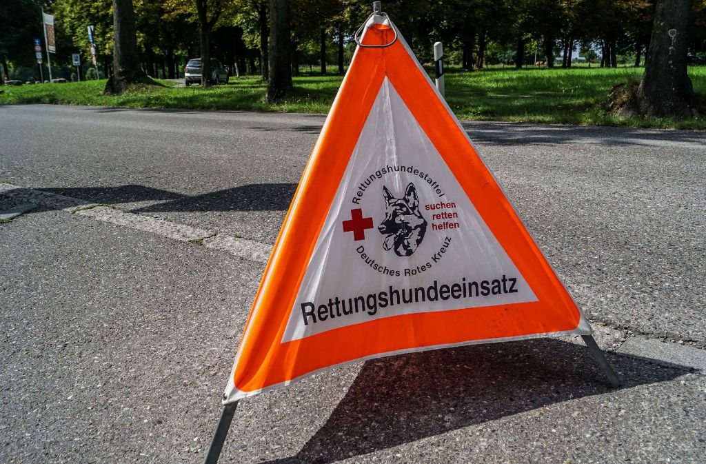 Erneut sind Suchhunde des roten Kreuzes im Einsatz.