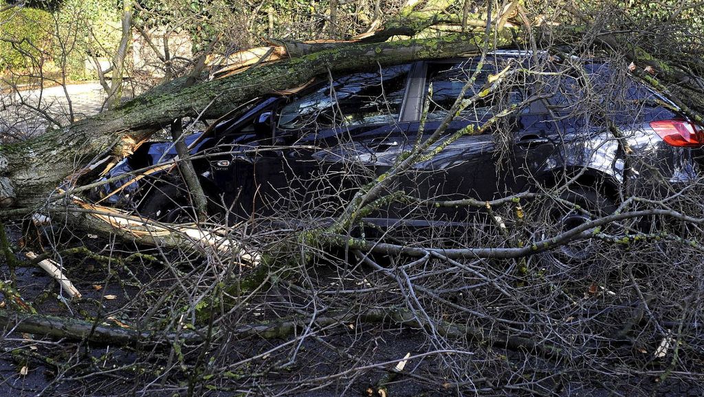 Sturm fegt über Deutschland: Entwurzelte Bäume, abgedeckte Dächer